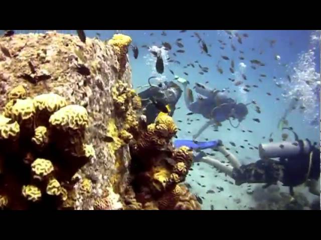 2009 Scuba Diving by Deep Down Productions on Koh Tao with Crystal Dive Resort