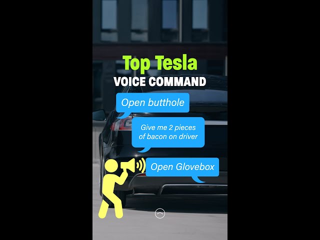 Open Butthole: Tesla Model Y and Model 3 Voice Commands
