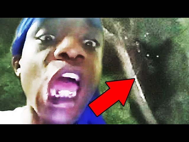 5 CREEPY Creature Videos That Are SCARY as HECK !