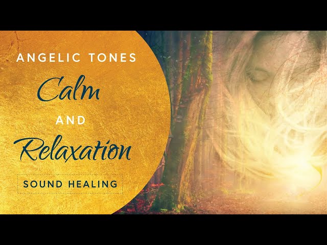 3 Hours of Peaceful, Soul Healing Music - Acoustic Guitar with Angelic Tones for Calm and Relaxation