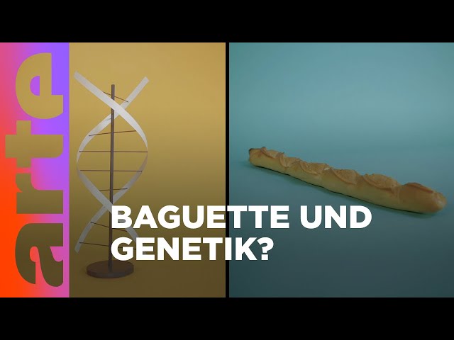 Was verbindet ein Baguette und die Genomsequenzierung? | Verknüpft | ARTE