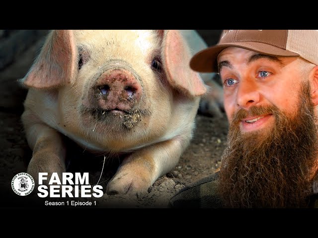 Raising Pigs on Pasture with RAISING ROOTS FARM | MMNP Farm Series S1 E1