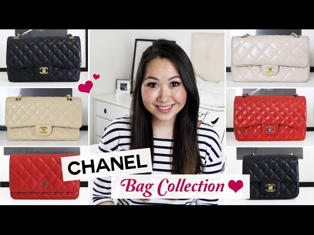 Entire Chanel Handbag Collection | Chase Amie