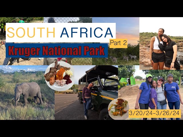 South Africa (Part 2) - Kruger National Park | Siena Maschke
