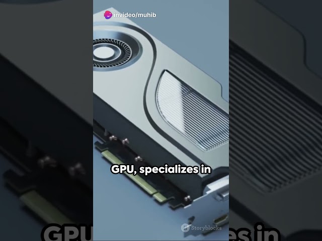 CPU vs GPU A Basic Guide