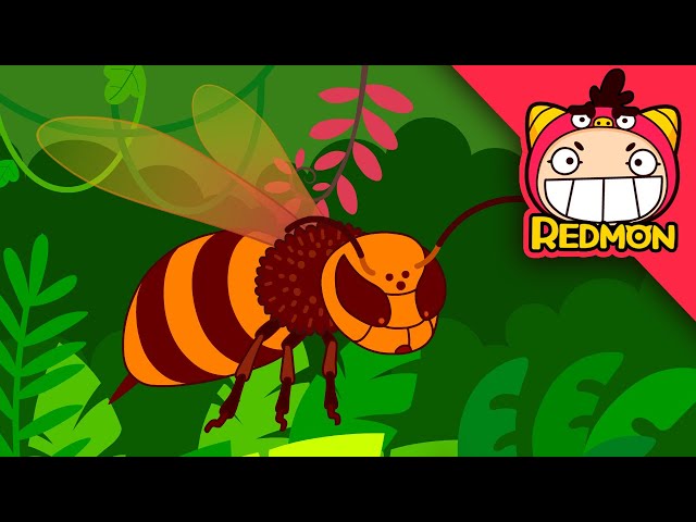 Save the Hornet! | Insect Rescue Team | Flytrap | Cartoons for kids | REDMON