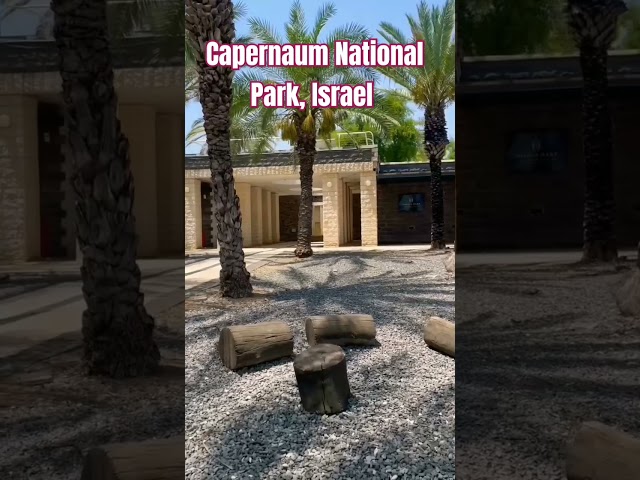 Capernaum National Park, Israel #travel #nature #vacation #israel #promiseland