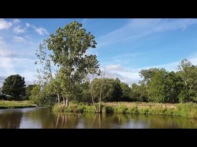 (15 min) nature sounds relaxing water sound sleep meditation