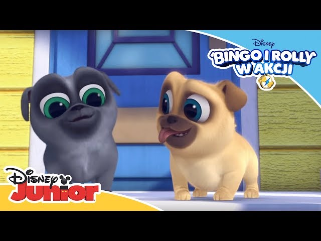 Bingo i Rolly w akcji! | Naprawa HauHauka | Oglądaj w Disney Junior!
