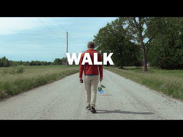 Walk - Nikon Z6 Short Film