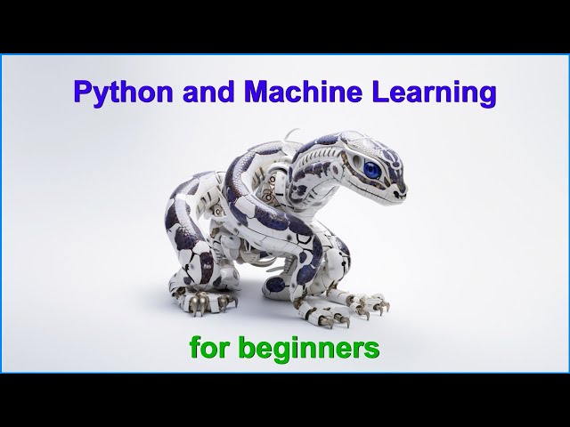 Python for Complete Beginners: 0308 Factorial Exercise
