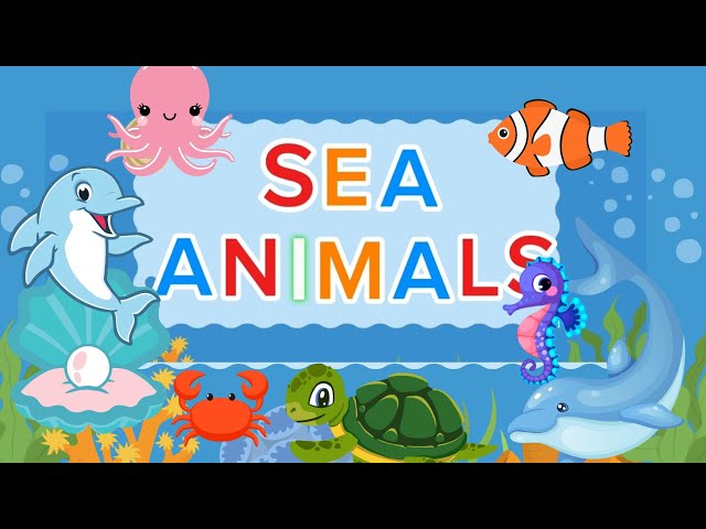 Sea Animals | Learn sea animals names in English | Kids vocabulary | EnglishEducational Video
