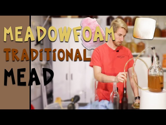 How to Make a Meadowfoam Traditional Mead! (Tastes Like Cotton Candy & Marshmallows)