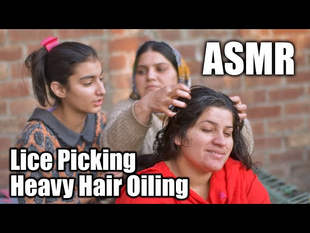 ASMR Multiple Ladies Head Lice and Nit Picking - Heavy Hair Oiling | Free Stock Footage
