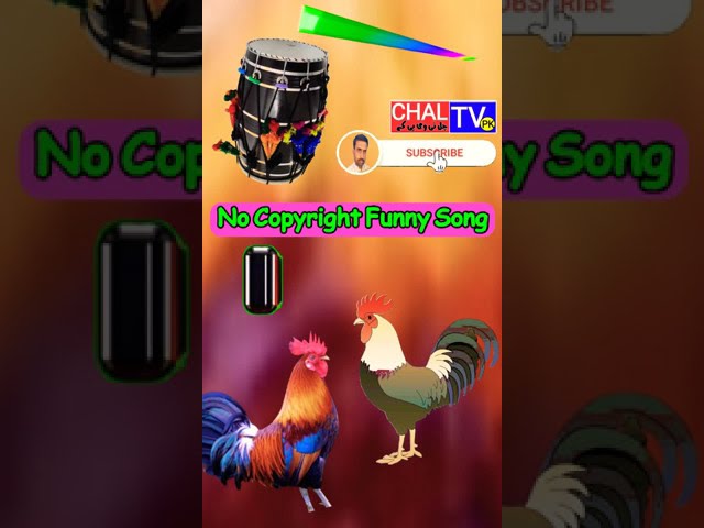 chicken song | funny chicken music | no copyright funny music | j. Geco | dj murga song #short video
