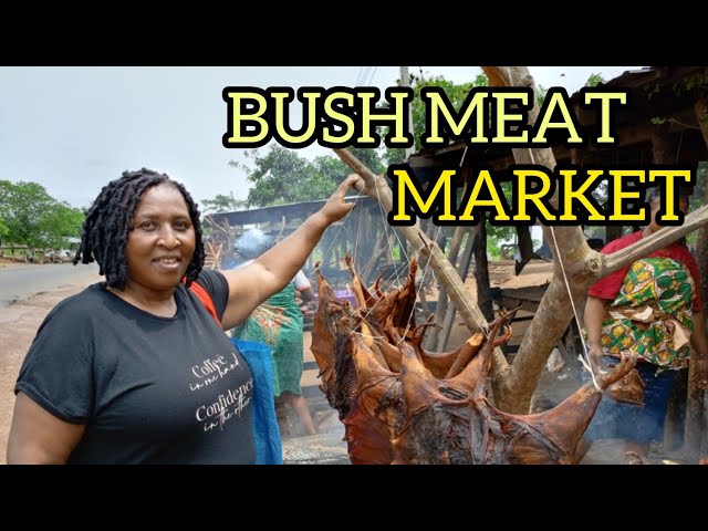 A Kenyan🇰🇪 first time in a Nigerian🇳🇬 food market(bush meat market)