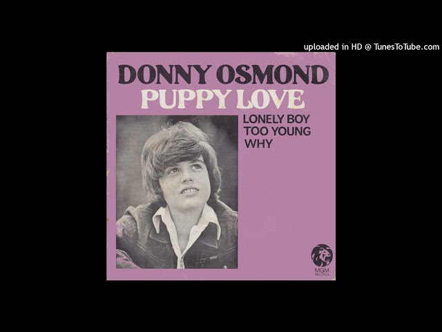 Donny Osmond - Puppy Love [1972] [magnums extended mix]