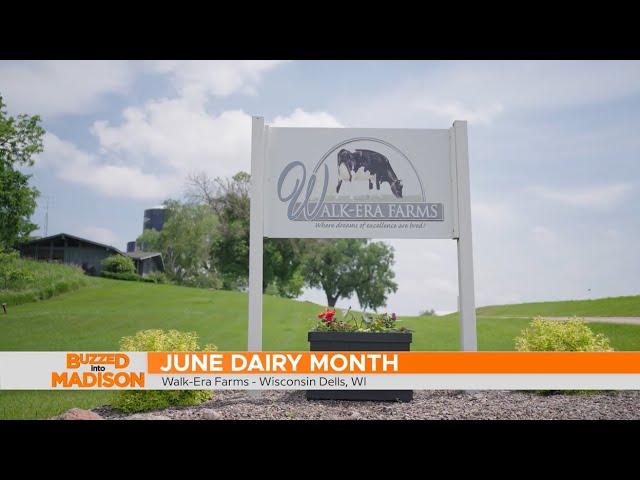 Buzzed into June Dairy Month at Walk Era Farms