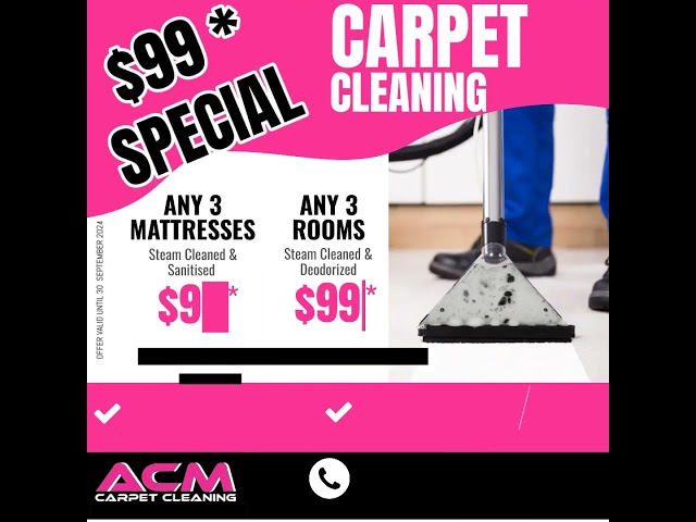 Check out our $99 Carpet Cleaning Deal!
