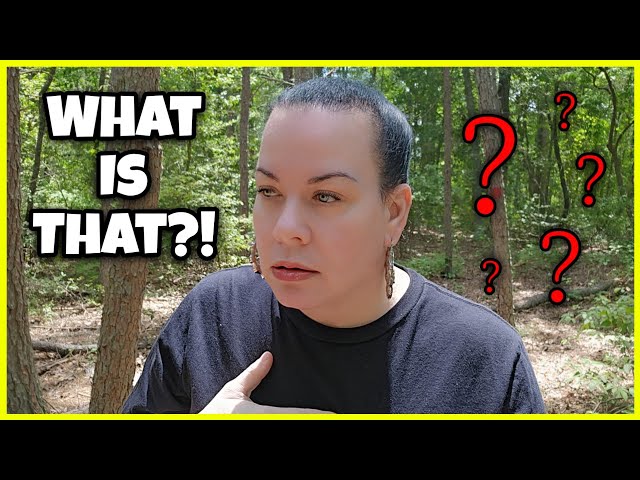 There's Something SCARY In These Woods!? Let's Talk