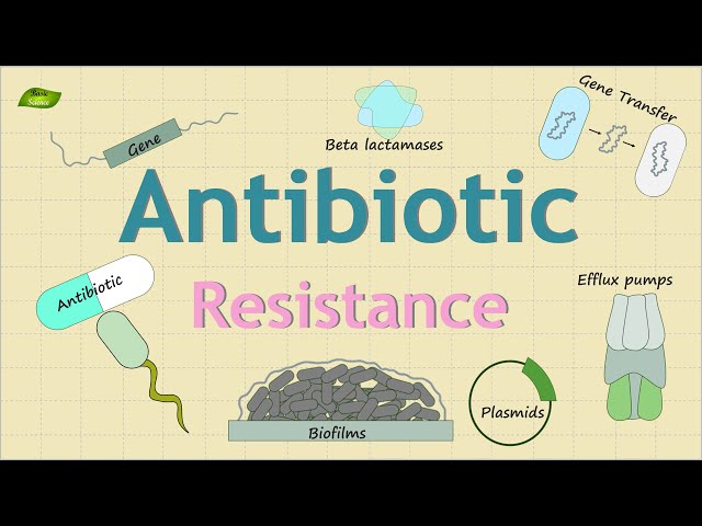 Antibiotic Resistance Mechanism | Bacterial Defense Mechanism | Basic Science Series