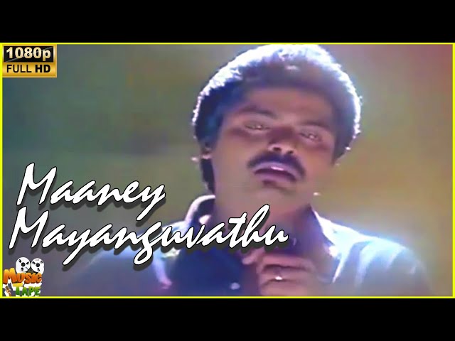 Maaney Mayanguvathu Video Song | Thanga Manasukkaran | 1992 | Murali | Sivaranjani | Tamil Song