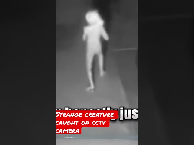 Strange creature caught on cctv camera 😱#paranormal