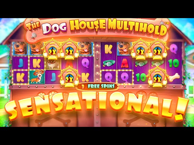 I did HUGE BUYS on the *NEW* Dog House MultiHold!!