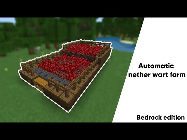 The BEST Minecraft Bedrock Nether Wart Farm