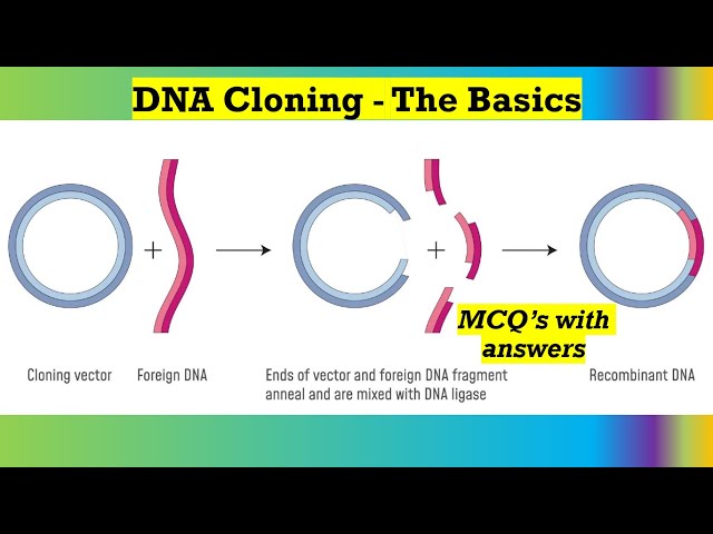 DNA Cloning - The Basics =MCQ’s with answers