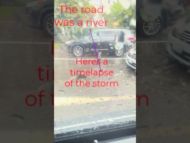 Driving through hurricane Alberto🌪️ #hurricane #crazy #thunderstorm #insane