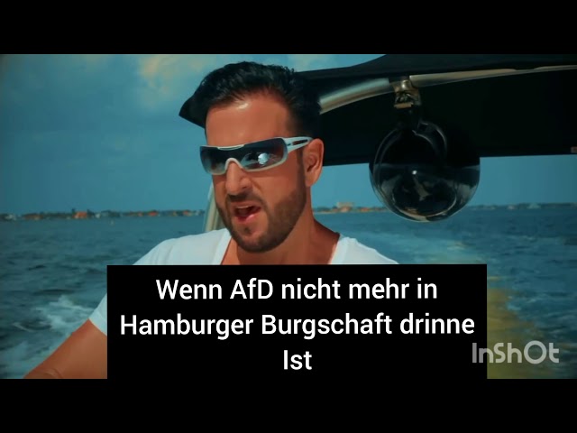 AfD nicht mehr in Hamburger Burgschaft vertreten - Wendler Antwort