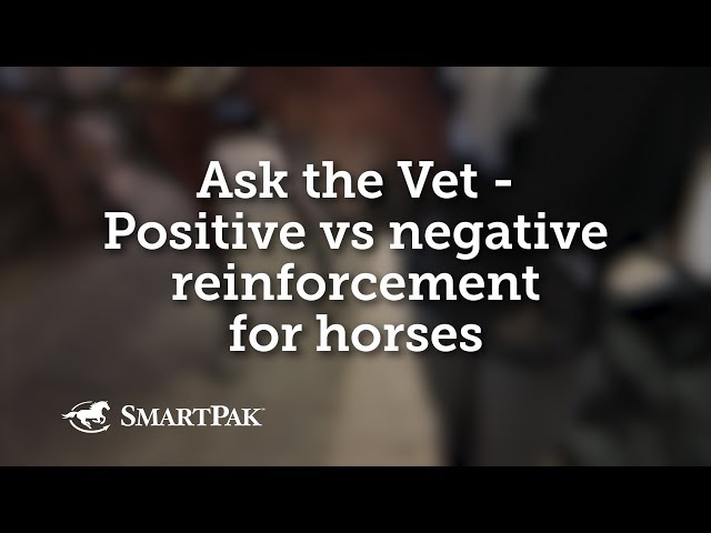 Ask the Vet - Positive vs negative reinforcement for horses