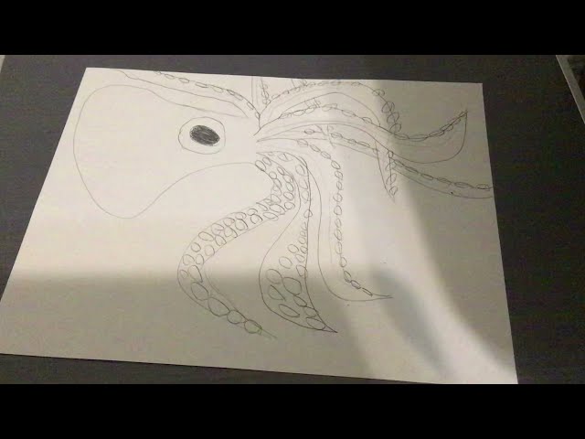 How to Draw a Octopus ￼!!!