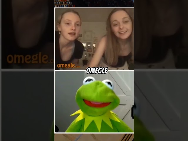 Kermit Found some Baddies on Omegle 🐸😈 #funnyshorts #viral #kermitthefrog #omegle #girls #funnyguys