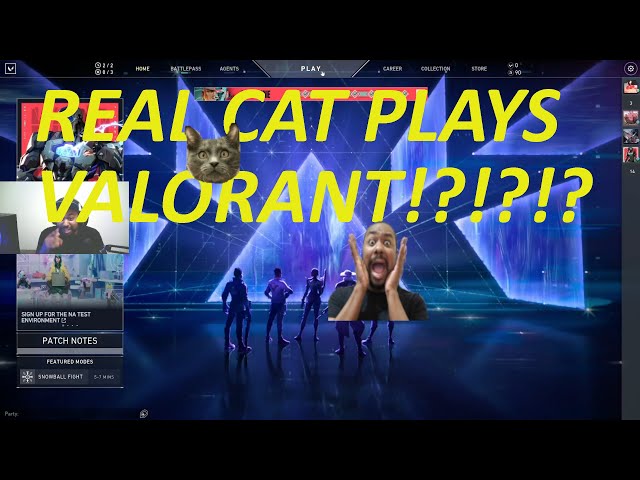 REAL CAT Plays Valorant!?!?! Meeeowww!