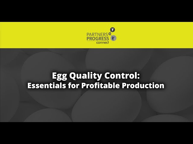 Egg Quality Control - Essentials for Profitable Production