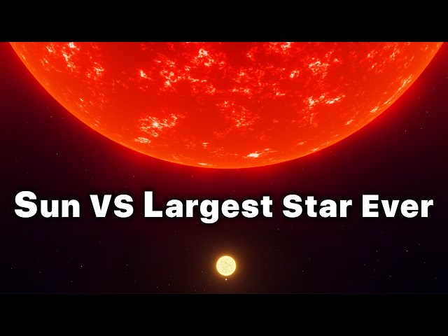 SUN vs. The Largest Star In The Universe