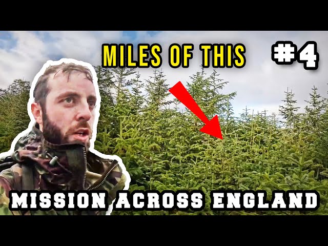 Will I make it through this infuriatingly dense forest before dark? [ENGLAND PART 4]