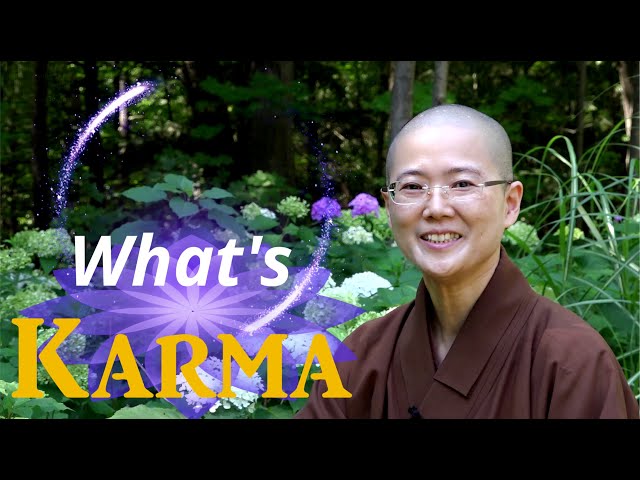 What is KARMA ?  Easy Way to Understand Cause and Effect, Karma Principle | Master Miao Jing  因果法則