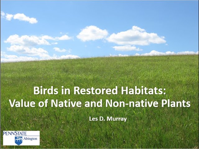 Habitat and Bird Abundance at the Pennypack Trust