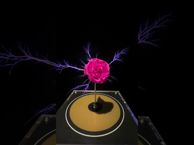 Tesla coil and flower