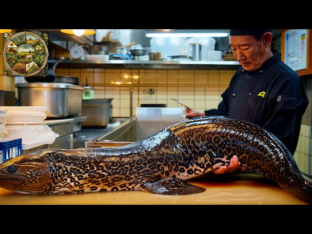 Explore Japanese cuisine, How the chefs prepare Giant Moray Eel into delicious dishes- Emison Newman