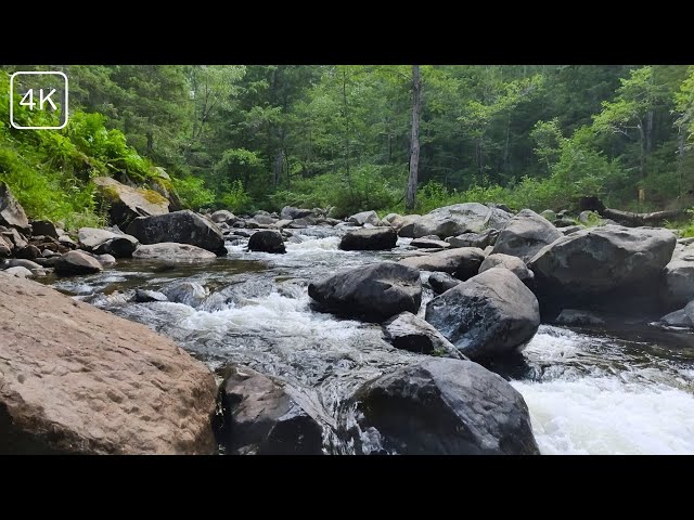 Nature Sounds for Sleeping, Mountain Stream with Birds, Forget Stress, Meditation, ASRM, 4K