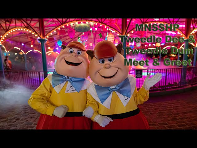 8K MNSSHP Tweedle Dee & Tweedle Dum Meet & Greet in Magic Kingdom VR180 3D