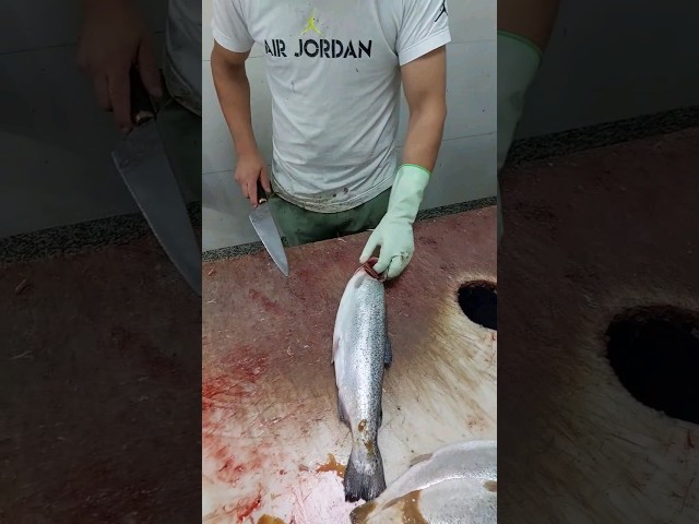 Incredible filleting of trout in 3 steps | easiest way