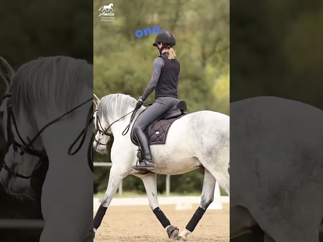#1 Way to Improve Your Trot