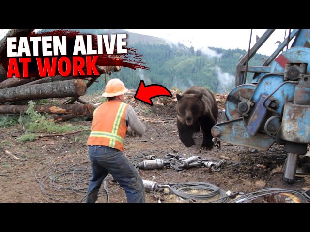 These 3 Employees Were EATEN ALIVE By Deadly Animals While At Work!