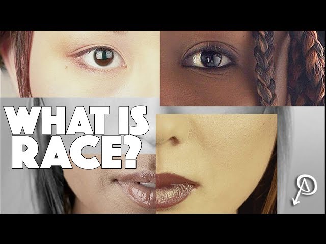 What is Race?
