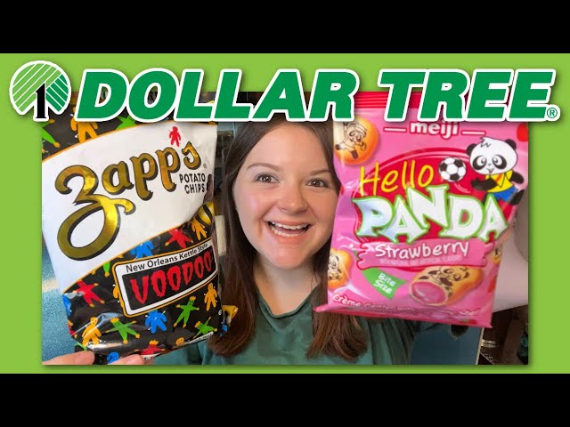 Dollar Tree Best Snack Foods! 2022 Budget Grocery Haul! Prep Your Pantry Before Inflation Gets Worse